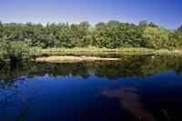 Cheap Vacant Lot With Black River Waterfrontage!