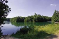 Alpine Hills Deeded Lake Access Property