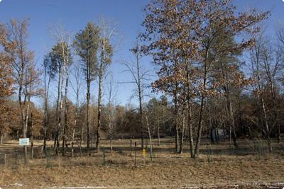Enjoy Scenic Deeded Access to Big Roche-A-Cri Creek!