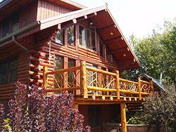 Custom Log Railing