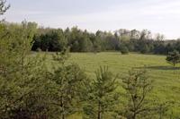 10 Acres With Meadow Adjoining Public Land