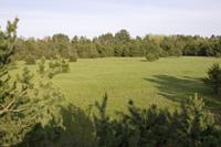 20 Acres Of Prime Real Estate Bordering Wi DNR Land