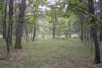 Wildlife Paradise Near Wisconsin Dells