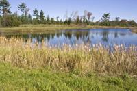 6 Acres Of Land On Easton Shores Lake