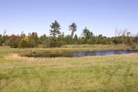 Pretty wooded deeded lake access to easton shores lake