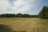 Perfect Hunting Land Loaded With Wildlife