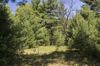 Private Home Site On Castle Rock Lake