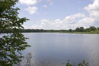 One Of The Best Waterfront Parcels On Lake Petenwell