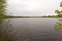 2 Acres Fully Wooded On Lake Petenwell