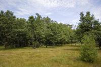 Mostly Wooded Vacant Land With Lake Access!