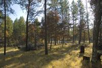 Almost Half An Acres With Access To Lake Camelot