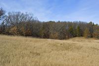 Prime Hunting Land For Sale In Jackson Township