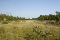 Cheap Buildable Land For Sale In Central Wisconsin