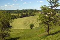 Buildable Land With Greenspace Included